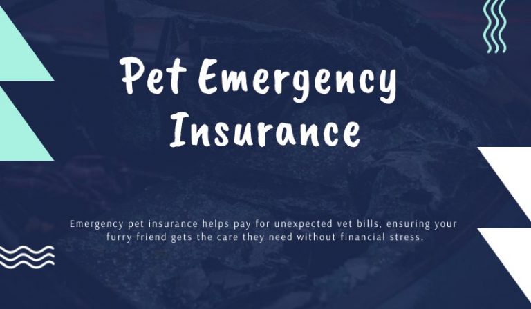 Understanding Emergency Pet Insurance Coverage